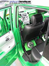 springfling Show Images Page 4